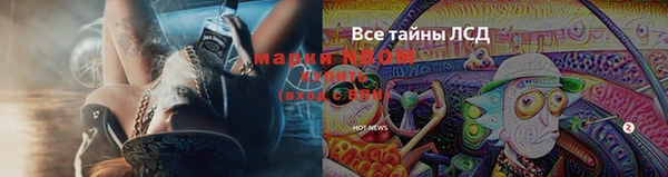 дживик Киренск