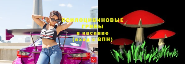 прущая мука Киреевск