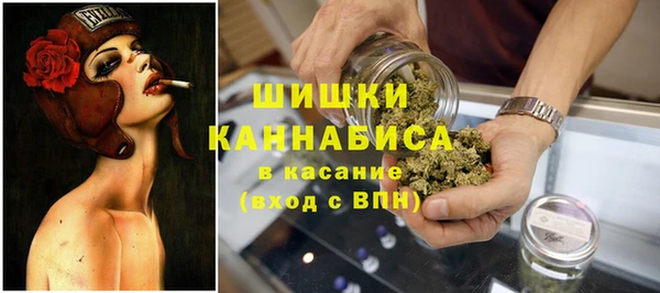 дживик Киренск